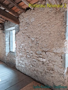 Rare 10-room mansion with land in Thiers (63300)