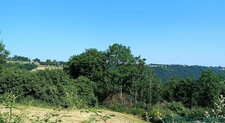 Terrain 4580m2 SAUVIAT-63120 secteur très calme et naturel