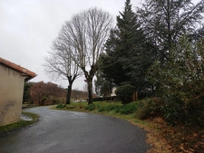 Maison à vendre 5 pièces LOMBERS (81)