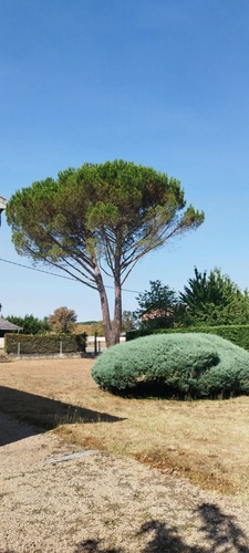 Maison à vendre 6 pièces SAINT JULIEN DU PUY (81)