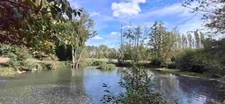Entre Tours et Amboise, découvrez un moulin du XVIe siècle au cadre exceptionnel sur 3.4ha.