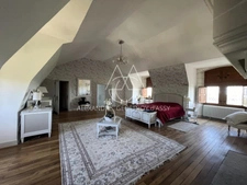Château millénaire surplombant un village sur un parc de 15 ha.