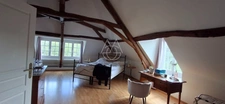 Entre Tours et Amboise, découvrez un moulin du XVIe siècle au cadre exceptionnel sur 3.4ha.