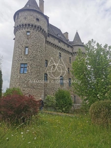 Splendide Château Médiéval Classé - Château se distingue par son élégance sur un domaine d’environ 13 hectares mêlant bois, prairies. 