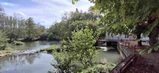 Entre Tours et Amboise, découvrez un moulin du XVIe siècle au cadre exceptionnel sur 3.4ha.