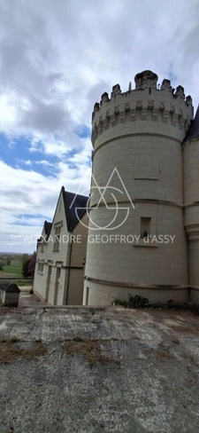 Château/vignoble d’appelation “Saumur” rénové. Idéal pour mariages et évènementiel.