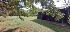 Entre Tours et Amboise, découvrez un moulin du XVIe siècle au cadre exceptionnel sur 3.4ha.