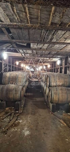 Château/vignoble d’appelation “Saumur” rénové. Idéal pour mariages et évènementiel.