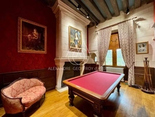 Château millénaire surplombant un village sur un parc de 15 ha.