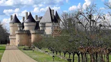 Situé au cœur de 15,5 hectares de terres somptueuses, cette majestueuse propriété du XVe siècle, entièrement rénovée, combine histoire, élégance et fonctionnalité. 