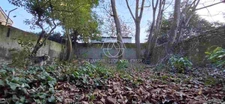 Rénovez cette maison de 143 m2 avec dépendances et deux jardins dans Tours.