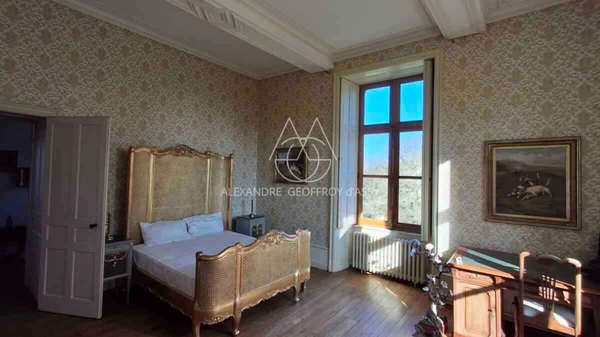 Château du XIXème à vendre en Haut-Anjou sur 20 Hectares