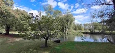 Entre Tours et Amboise, découvrez un moulin du XVIe siècle au cadre exceptionnel sur 3.4ha.
