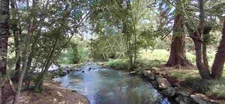 Entre Tours et Amboise, découvrez un moulin du XVIe siècle au cadre exceptionnel sur 3.4ha.
