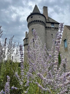 Splendide Château Médiéval Classé - Château se distingue par son élégance sur un domaine d’environ 13 hectares mêlant bois, prairies. 