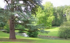 Château du XIXe siècle avec un parc de 75 ha, située à proximité immédiate de Poitiers.