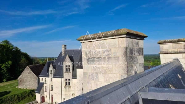 Château millénaire surplombant un village sur un parc de 15 ha.