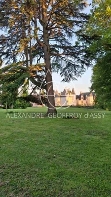 Château millénaire surplombant un village sur un parc de 15 ha.