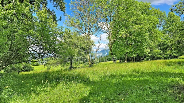 Terrain à vendre sur les hauteurs de La Roche-sur-Foron