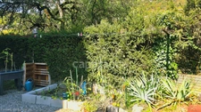 Appartement 3 pièces rénové avec jardin à Taninges