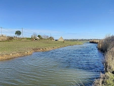 Maison à vendre 6 pièces CRICQUEVILLE-EN-BESSIN – Maison en pierre rénovée de 224 m² – 4 chambres – Terrain de 7 763 m² – Entre mer et marais