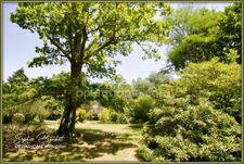 EXCEPTIONNEL À LÉOGNAN, LIMITE GRADIGNAN – PROPRIÉTÉ DE CARACTÈRE SUR PLUS DE 1,3 HECTARE DE NATURE