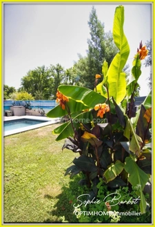 Maison contemporaine 5 pièces, moderne et qualitative, avec piscine et garage au coeur du Bassin d'Arcachon - Gujan-Mestras 33
