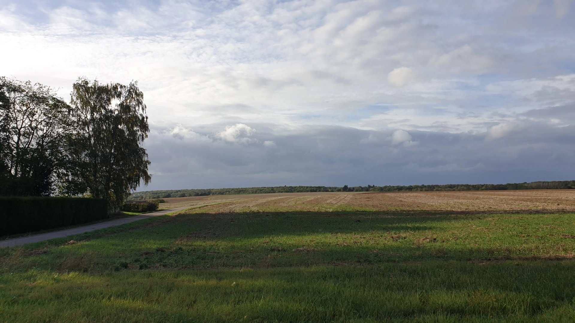 Terrain 1171 m² · à Vernou-la-Celle-sur-Seine · 97 000 €