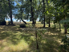 Maison 8 pièces, terrain 9000m²
