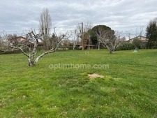 Terrain 1274 m²