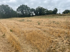 Terrain 2500m²