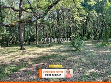 TERRAIN BOISE 1181 M²