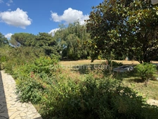 Maison 8 pièces, terrain 9000m²