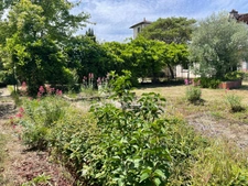 Terrain 527 m²