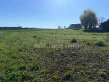 Terrain 538 m²