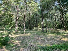 TERRAIN BOISE 1181 M²