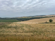 Terrain 2500m²
