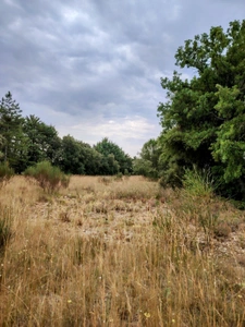 MURS :Terrain à vendre de 4 198,00 m²  (84)