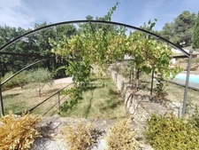 grambois : Villa 6 pièces sur 4600m2 avec piscine et garage. 