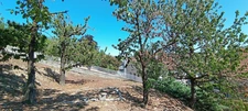 Maison à vendre 8 pièces ORBEIL (63)
