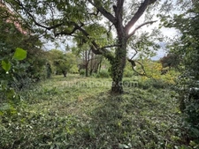 Terrain à bâtir de 867 m² non viabilisé à SAINT CYR SOUS DOURDAN (91)