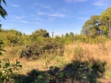 Terrain à vendre de 1 117,00 m² Proche de CERISIERS (89)