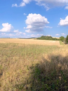 Terrain à vendre  Proche de VILLENEUVE L'ARCHEVEQUE (89)