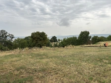 TERRAIN