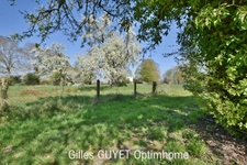✨SOUS COMPROMIS - PLUS DISPONIBLE À LA VENTE✨  12MN de BERNAY, Ancien corps de Ferme, T4/5, 85M²  148500€ 1,25Hectares de terrain avec dépendances (27)