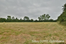 Terrain plat constructible de 5400M² 20MN de BERNAY, 33000€ 