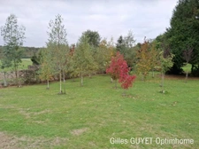12/15MN de BERNAY, DPE C, T6 110M² 219000€ avec 2000M² de terrain clos (27)
