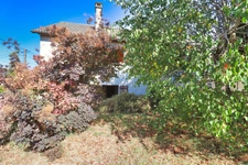 Maison à vendre 5 pièces MAURIAC (15)