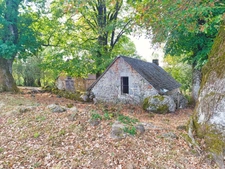 Buron avec terrain Proche de Salers