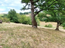 Propriété de 36 hectares avec buron Proche de Salers